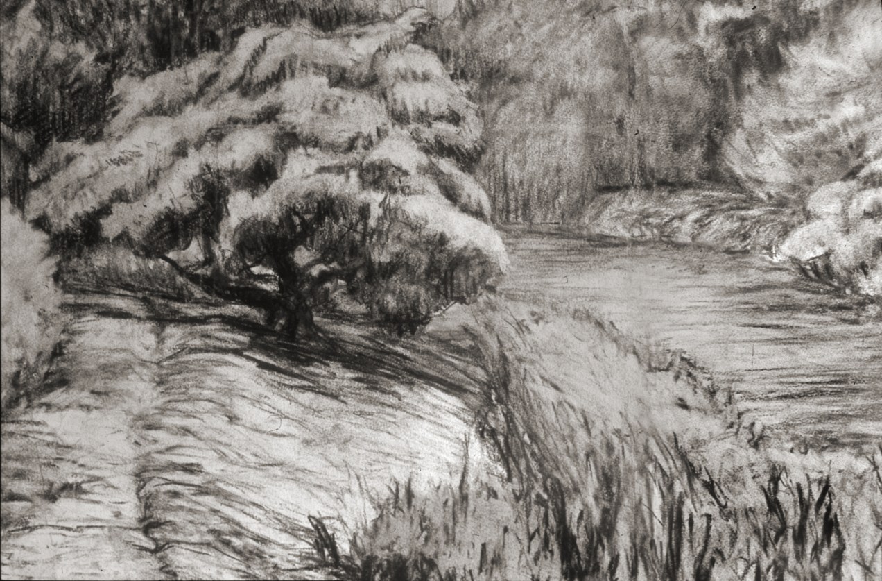 japanese maple and reeds