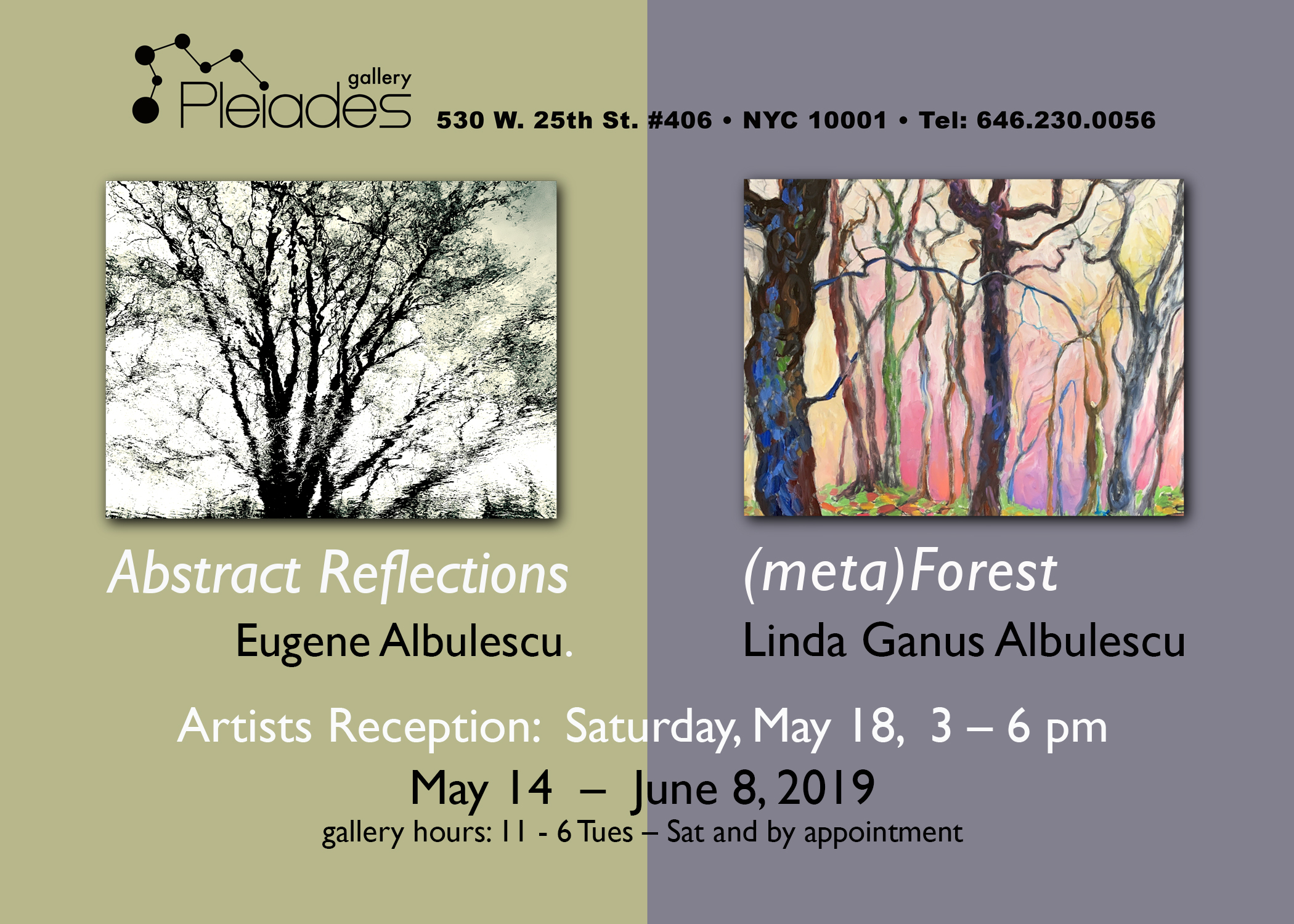 GANUS ALBULESCU POSTCARD